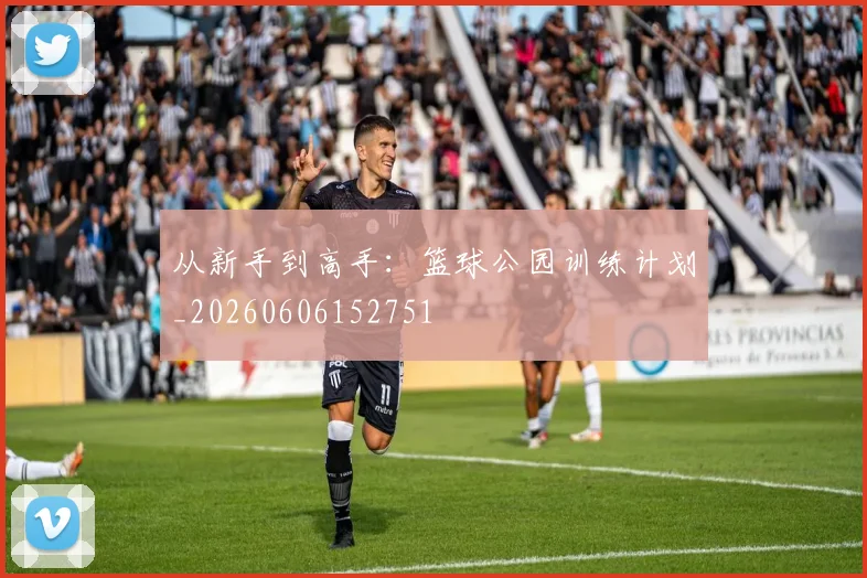 从新手到高手:篮球公园训练计划_20260606152751